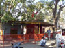 :: Gayatri Aashram Shree Hanuman Temple ::
